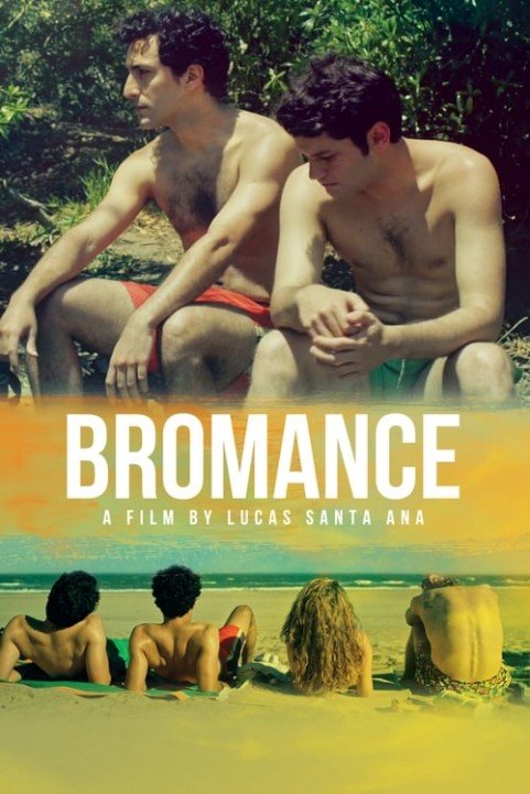 Bromance poster