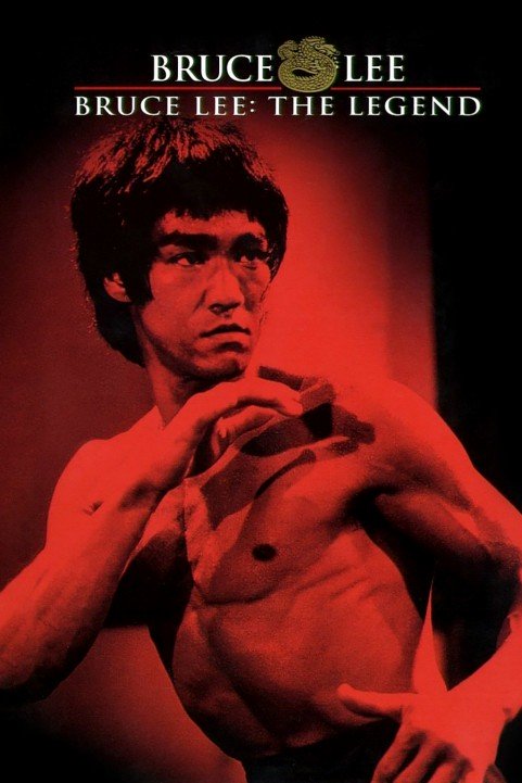 Bruce Lee: The Legend poster