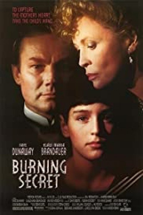 Burning Secr poster