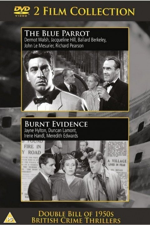 Burnt Evidence poster