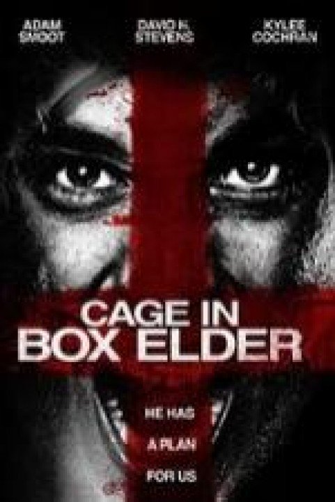 Cage in Box Elder poster