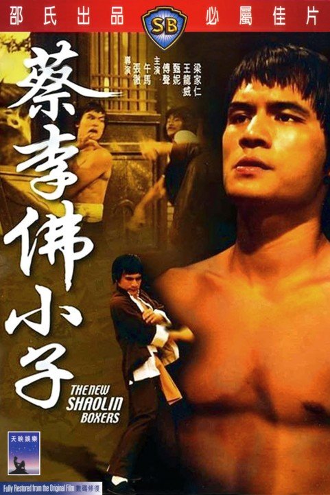 The New Shaolin Boxers poster