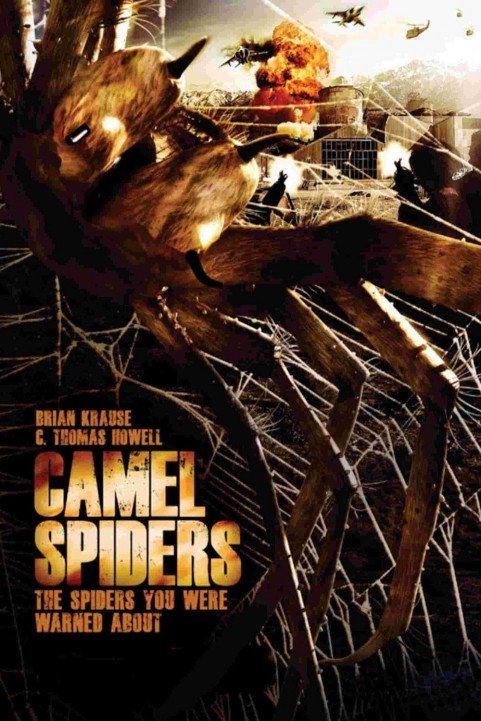 Camel Spiders poster