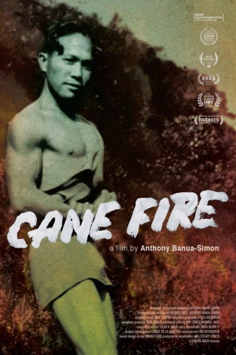 Cane Fire poster