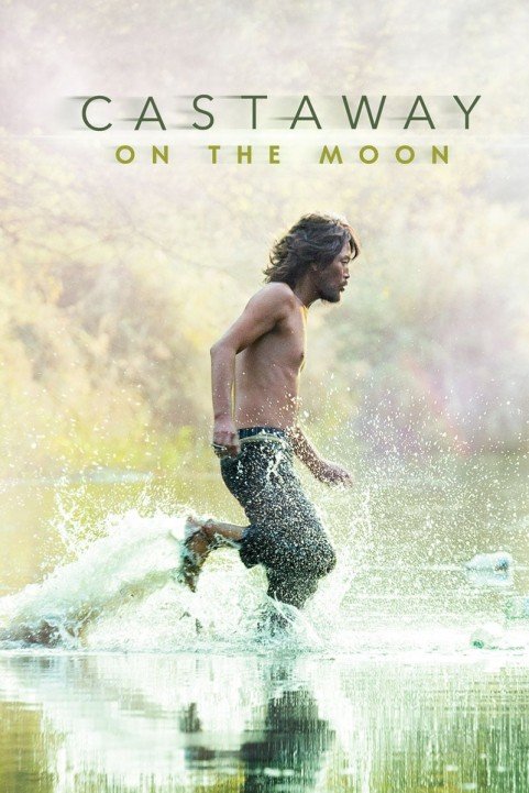 Castaway on the Moon poster