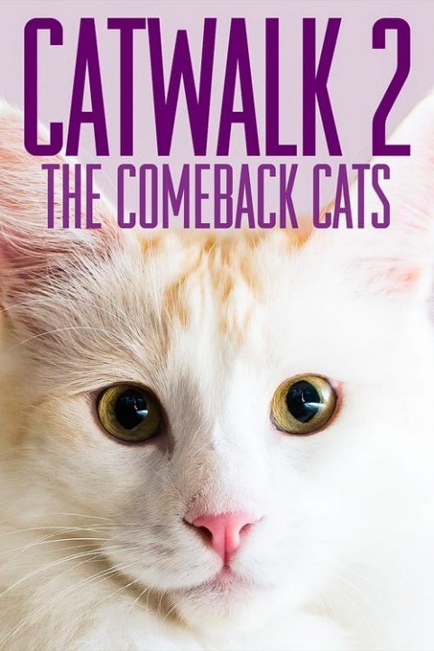 Catwalk 2: The Comeback Cats poster