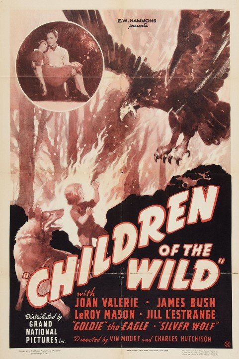 Children of the Wild poster