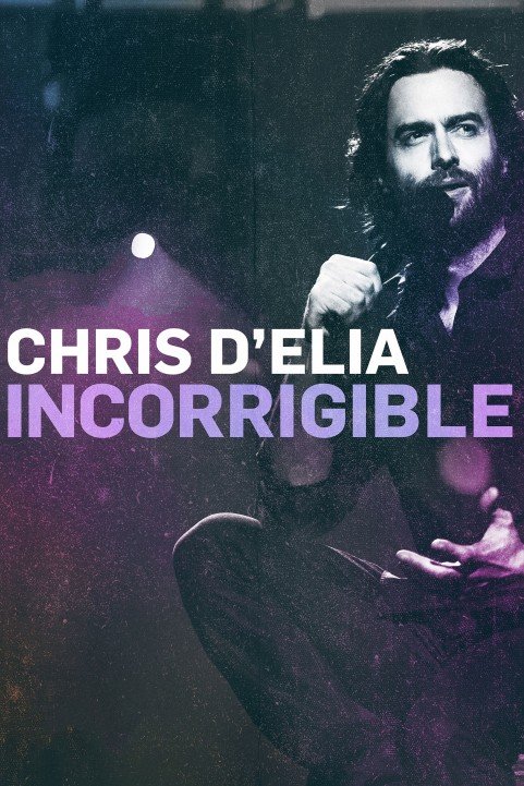 Chris DElia poster