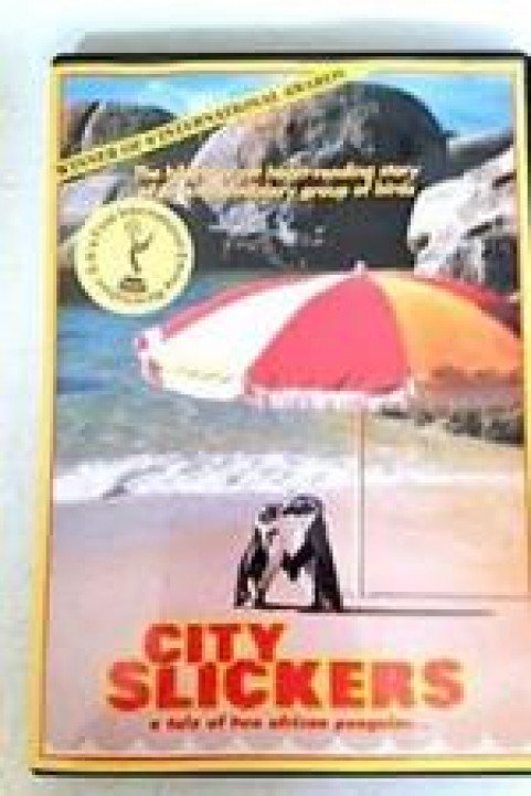 City Slickers: A Tale Of Two African Penguins poster