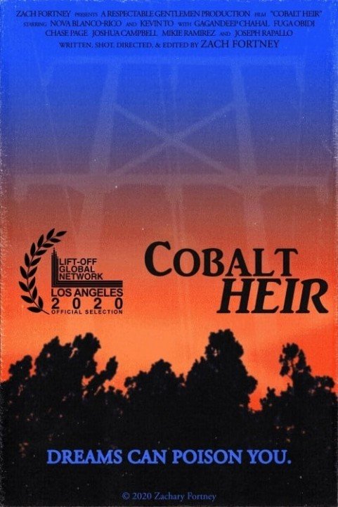 Cobalt Heir poster