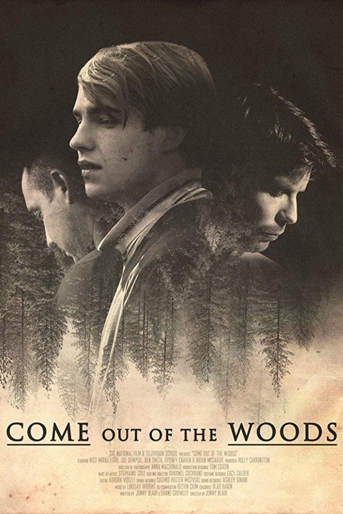 Come Out Of The Woods poster