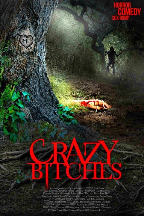 Crazy Bitches poster