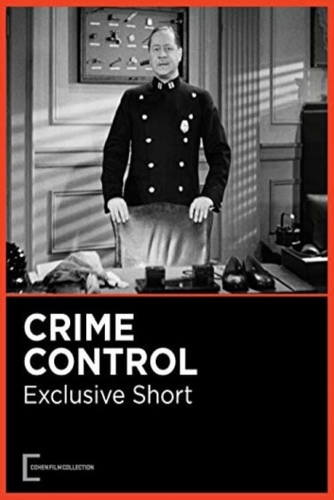 Crime Control poster