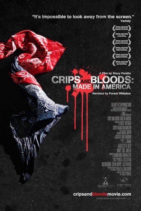 Crips and Bloods: Made in America poster