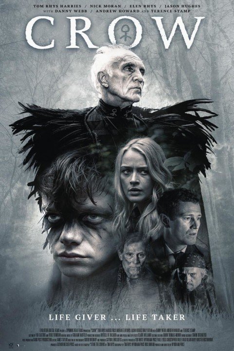 Crow poster