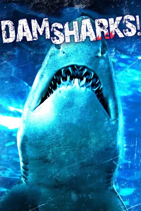 Dam Sharks poster