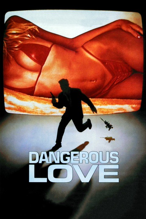 Dangerous Love poster