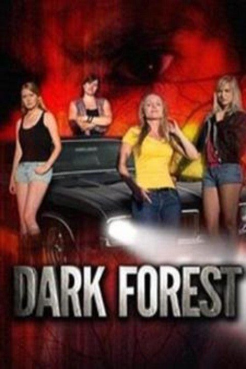 Dark Forest poster