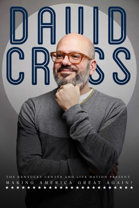 David Cross poster