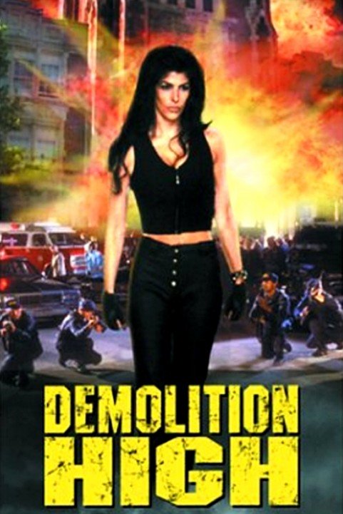 Demolition H poster