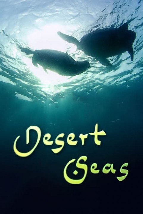 Desert Seas poster