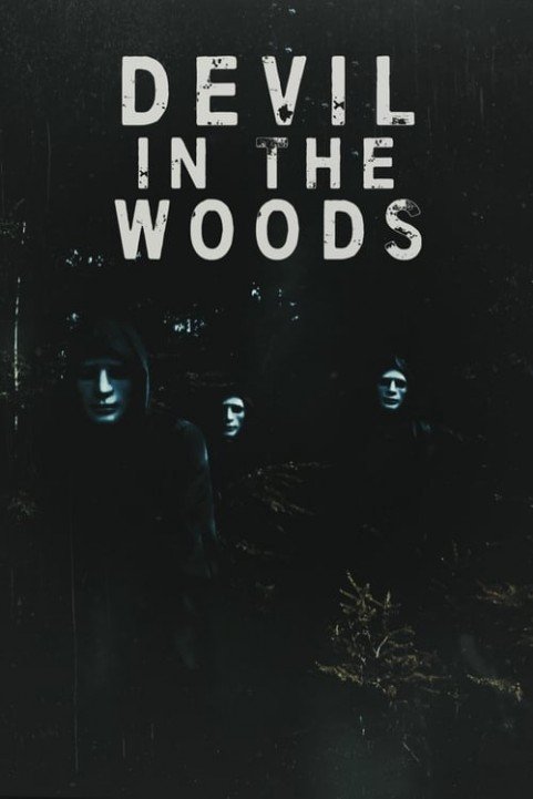 Devil in the Woods poster