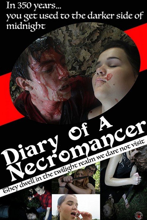 Diary of a N poster