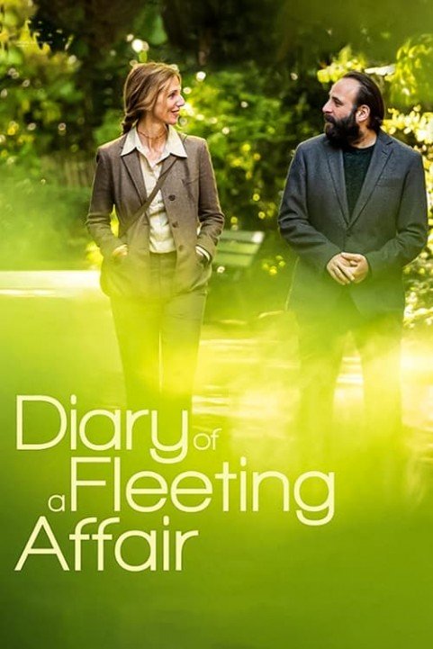 Diary of a Fleeting Affair poster