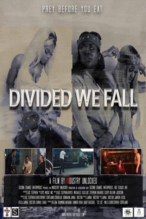 Divided We Fall poster