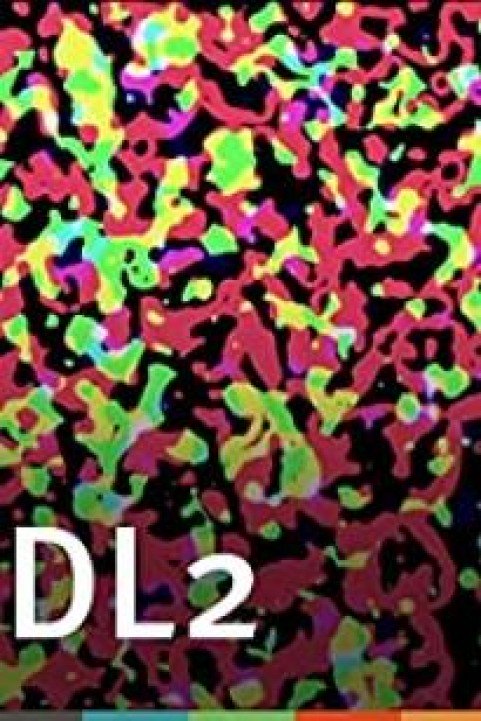 DL2 (Disintegration Line #2) poster