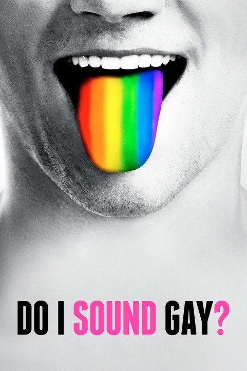 Do I Sound Gay? poster