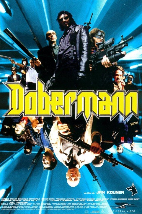 Dobermann poster