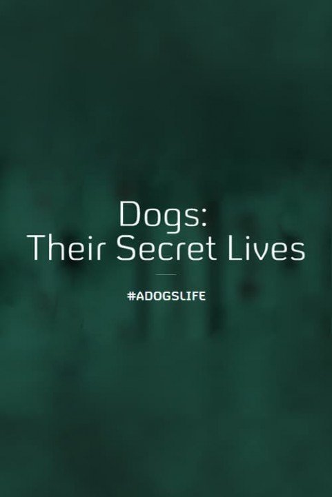 Dogs: Their Secret Lives poster