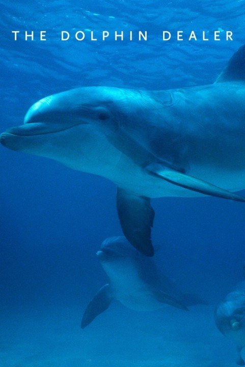 Dolphins and poster