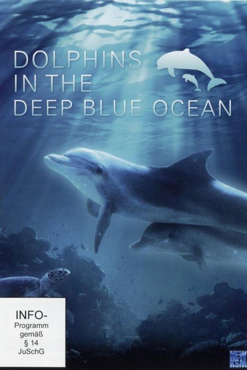 Dolphins in the Deep Blue Ocean poster