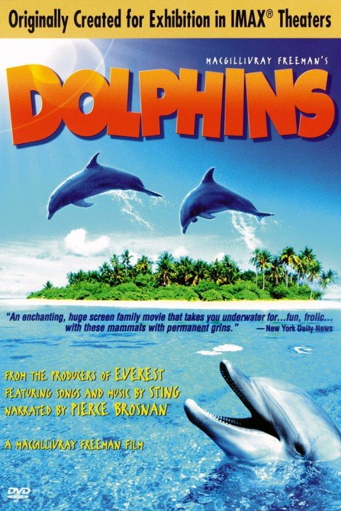 Dolphins poster