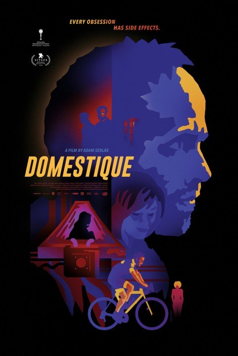 Domestique poster