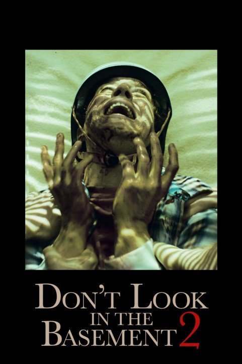 Dont Look In The Basement 2 poster