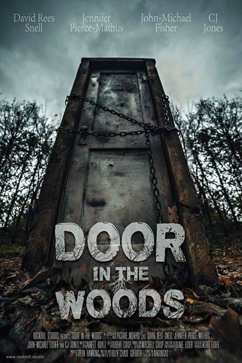 Door in the Woods poster