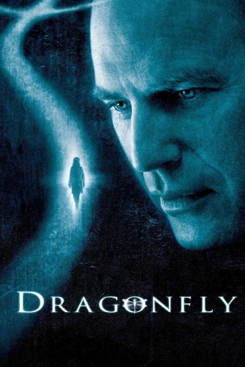 Dragonfly poster