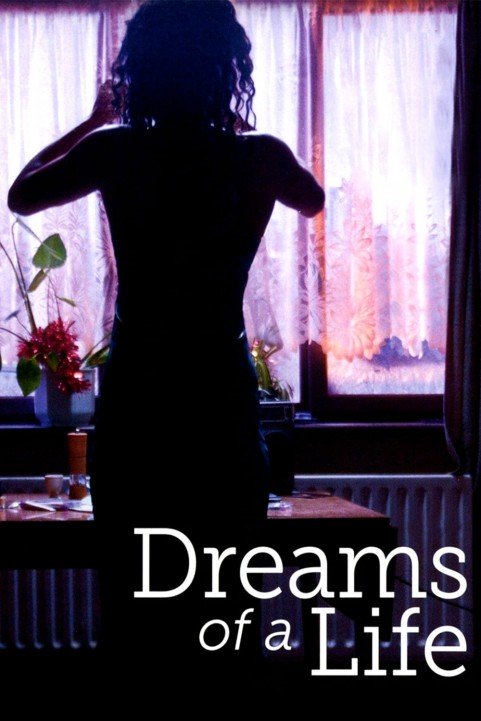 Dreams of a Life poster