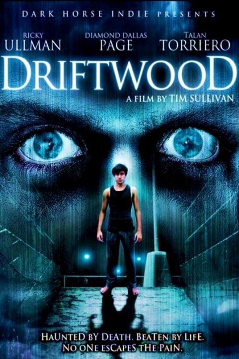 Driftwood poster