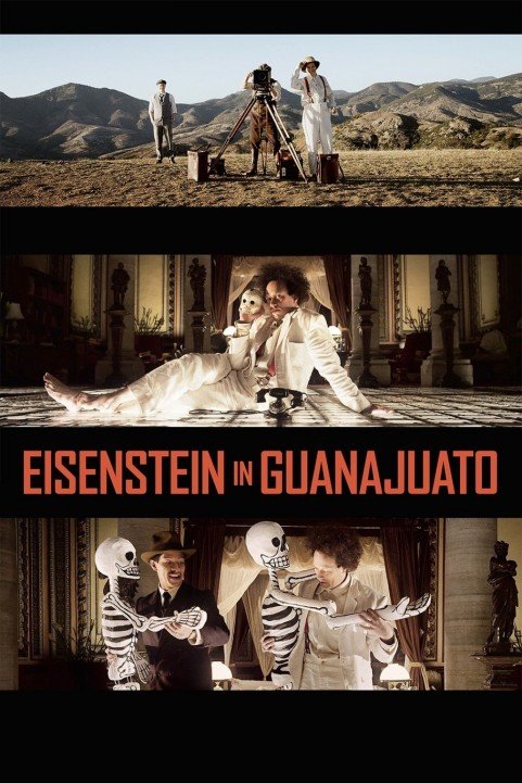 Eisenstein In Guanajuato poster