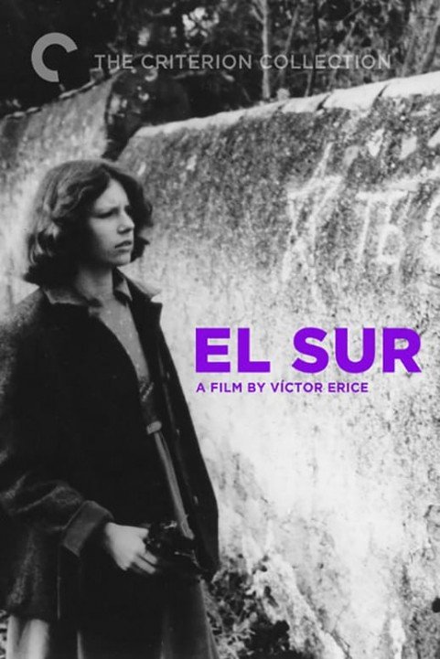 El Sur poster