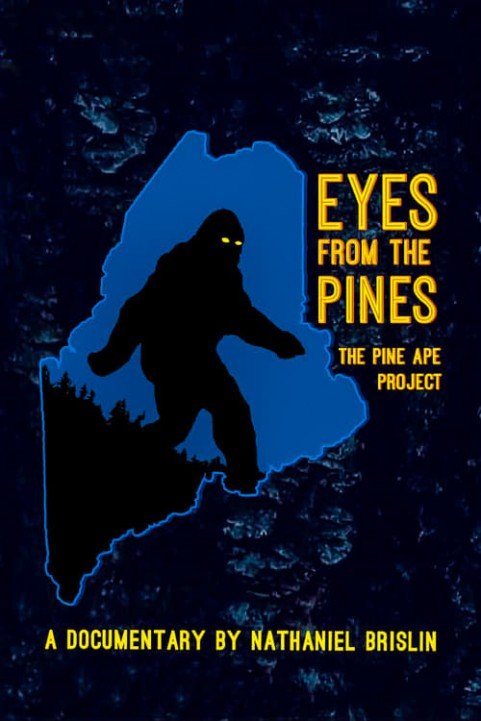 Eyes from the Pines poster