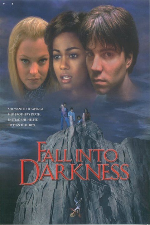 Fall Into Darkness poster