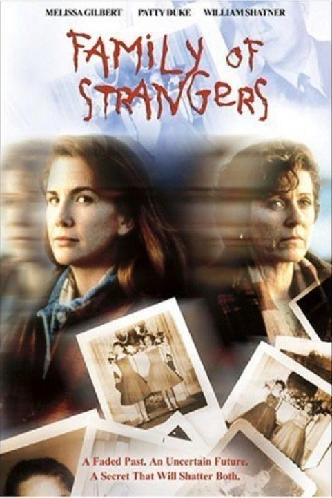 Family of Strangers poster