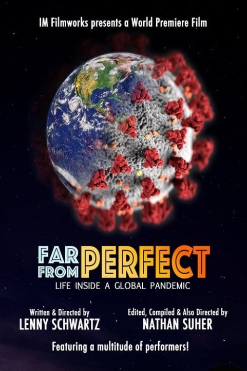 Far from Perfect: Life Inside a Global Pandemic poster