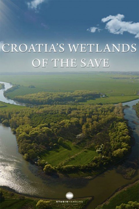 Fertile Floods - Croatia's Wetlands poster