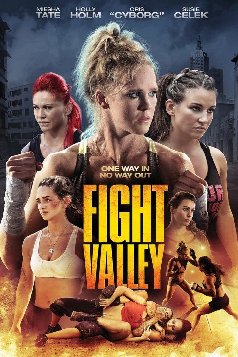 Fight Valley (2016) poster